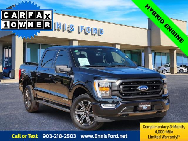 Used 2023 Ford F150 XLT w/ Equipment Group 302A High