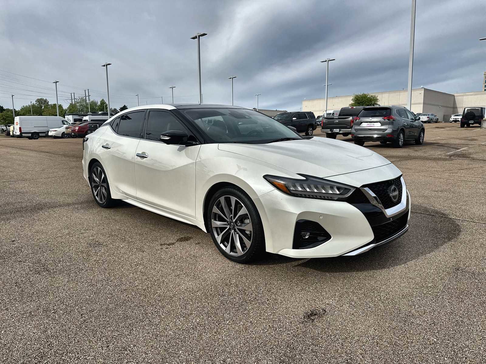 Used 2023 Nissan Maxima Platinum w/ Sport Mat Group image 11