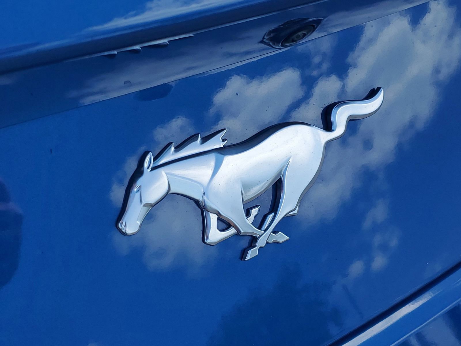 Used 2024 Ford Mustang Premium RWD image 6