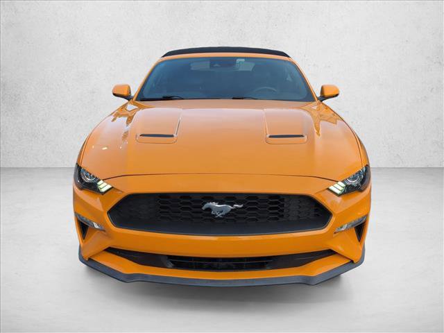 Used 2019 Ford Mustang Premium w/ Equipment Group 201A image 2