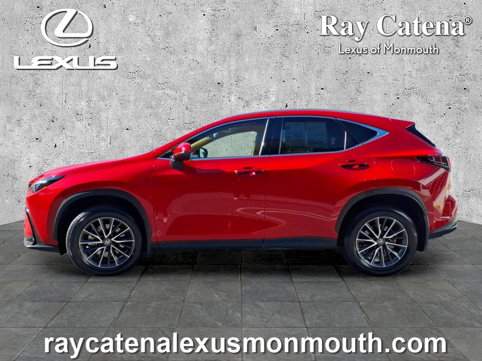 Used 2024 Lexus NX 350h AWD image 4
