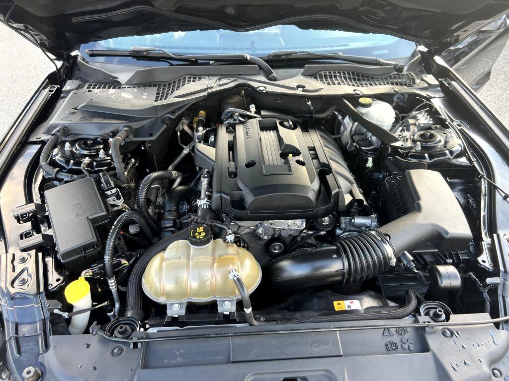 Used 2018 Ford Mustang Premium image 16