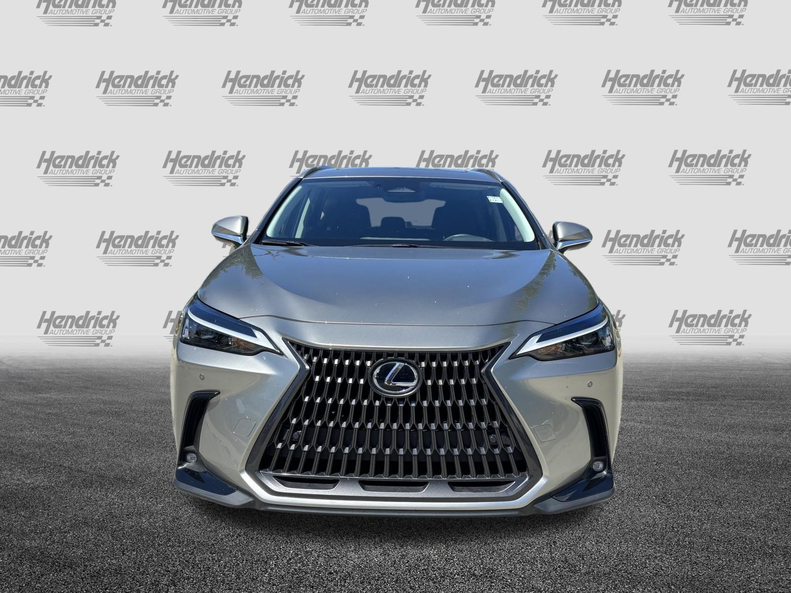 Used 2024 Lexus NX 350h AWD image 3