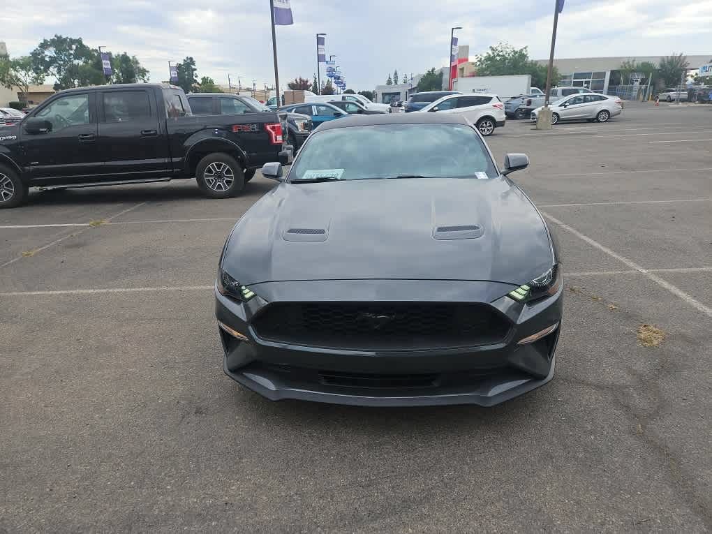 Used 2019 Ford Mustang Coupe w/ Equipment Group 101A RWD image 2