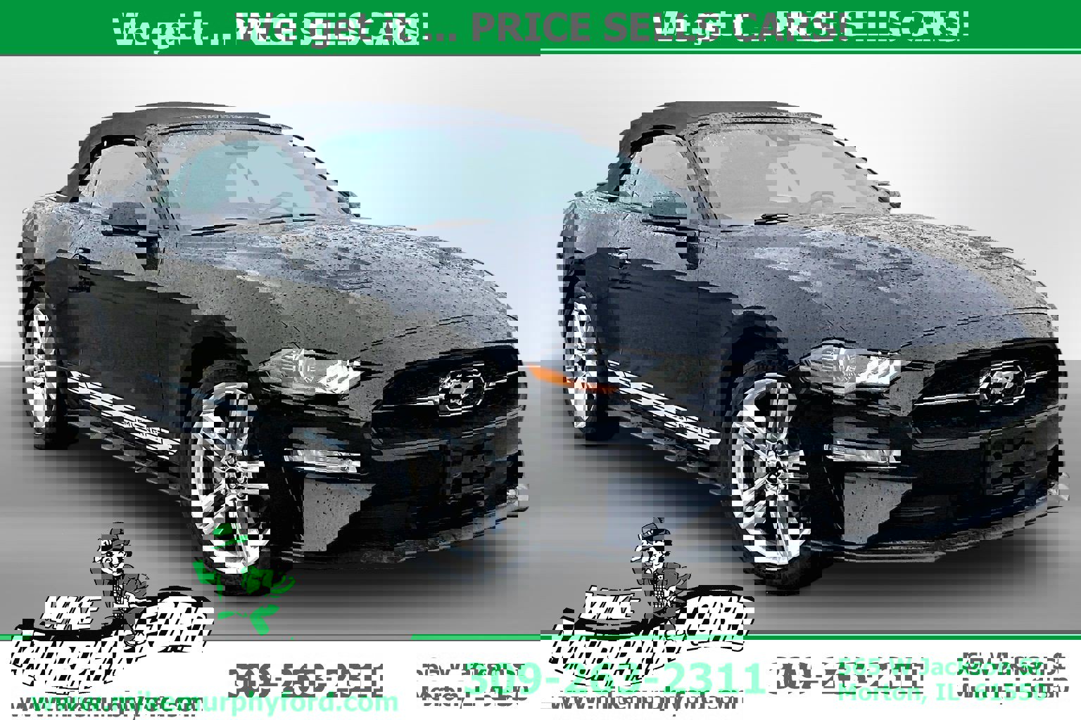 Used 2020 Ford Mustang Premium w/ Equipment Group 201A image 1