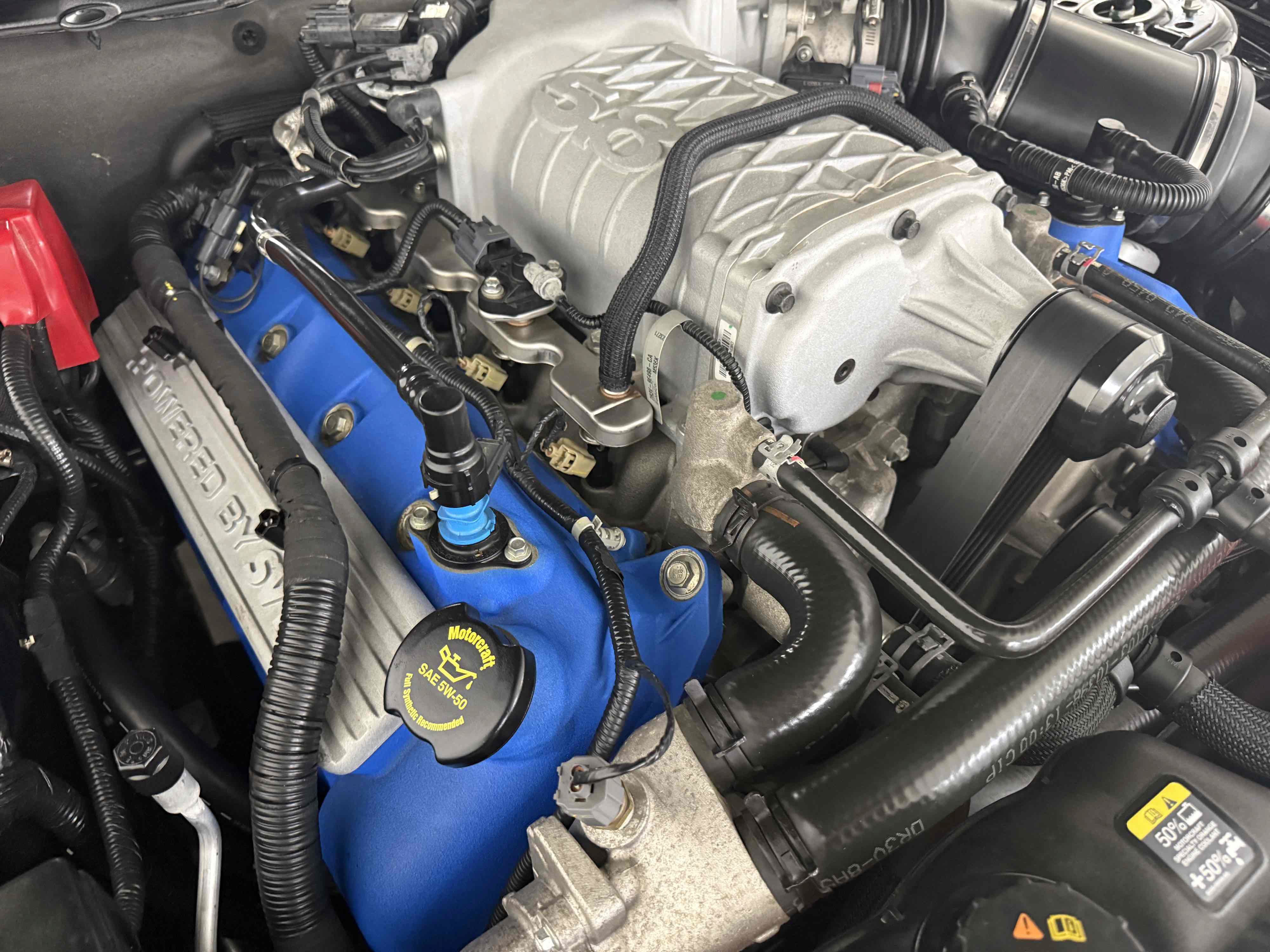 Used 2014 Ford Mustang Shelby GT500 w/ Equipment Group 821A RWD image 68