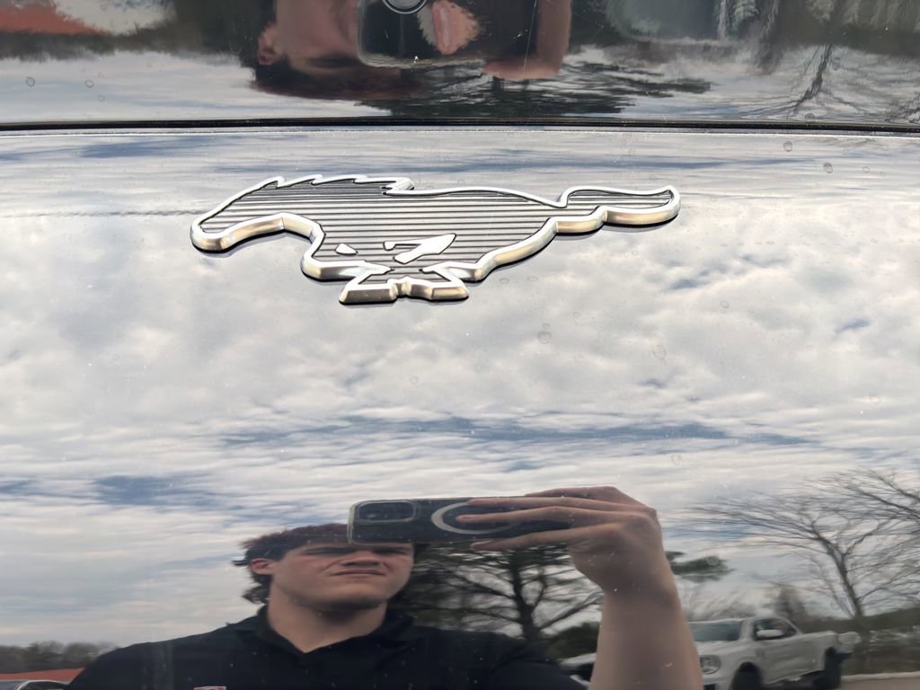 New 2026 Ford Mustang Mach-E Premium image 9