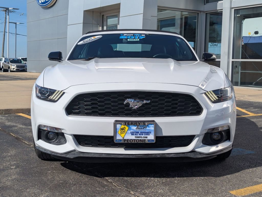 Used 2017 Ford Mustang Premium w/ Equipment Group 201A RWD image 8