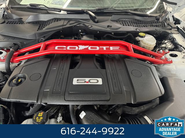 Used 2022 Ford Mustang GT w/ Equipment Group 301A RWD image 6