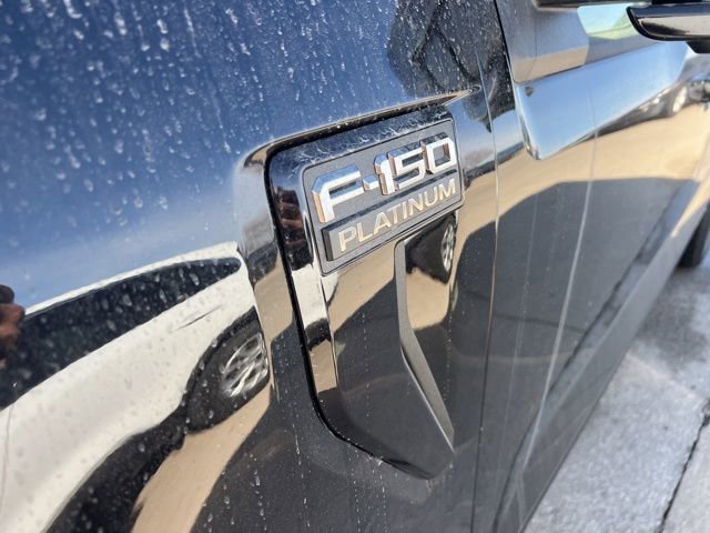 New 2025 Ford F150 Platinum w/ Equipment Group 702A High AWD/4WD image 14