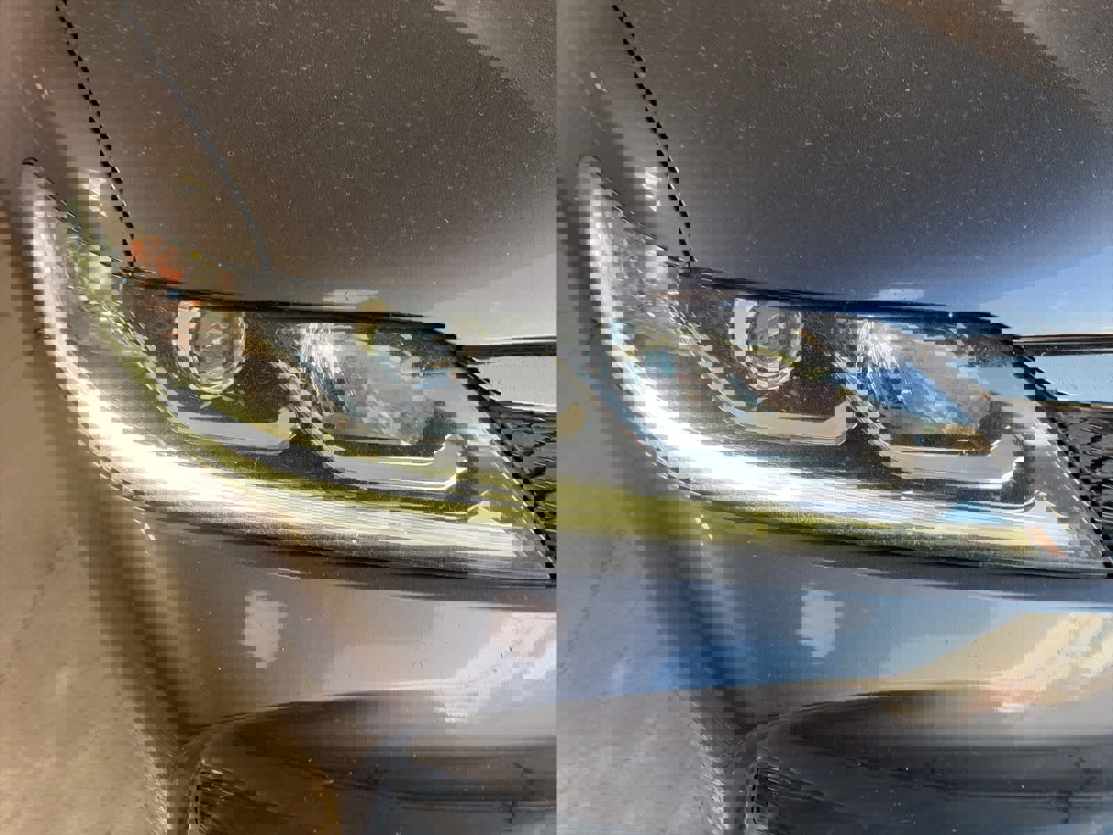 Used 2017 Honda Accord EX-L image 4