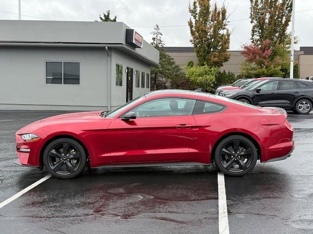 Used 2023 Ford Mustang Coupe w/ Equipment Group 101A image 6