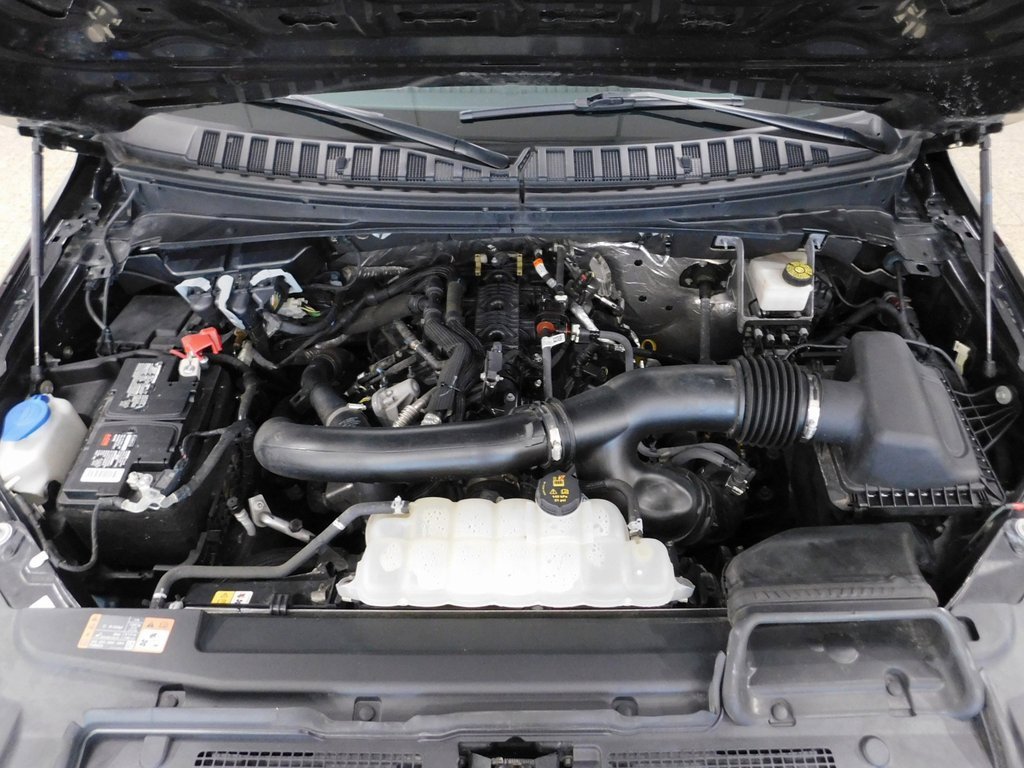 Used 2024 Ford Expedition XLT image 15