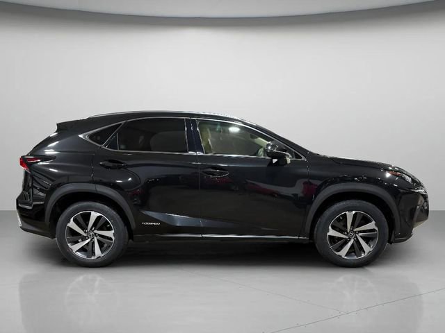 Used 2019 Lexus NX 300h AWD w/ Luxury Package image 2