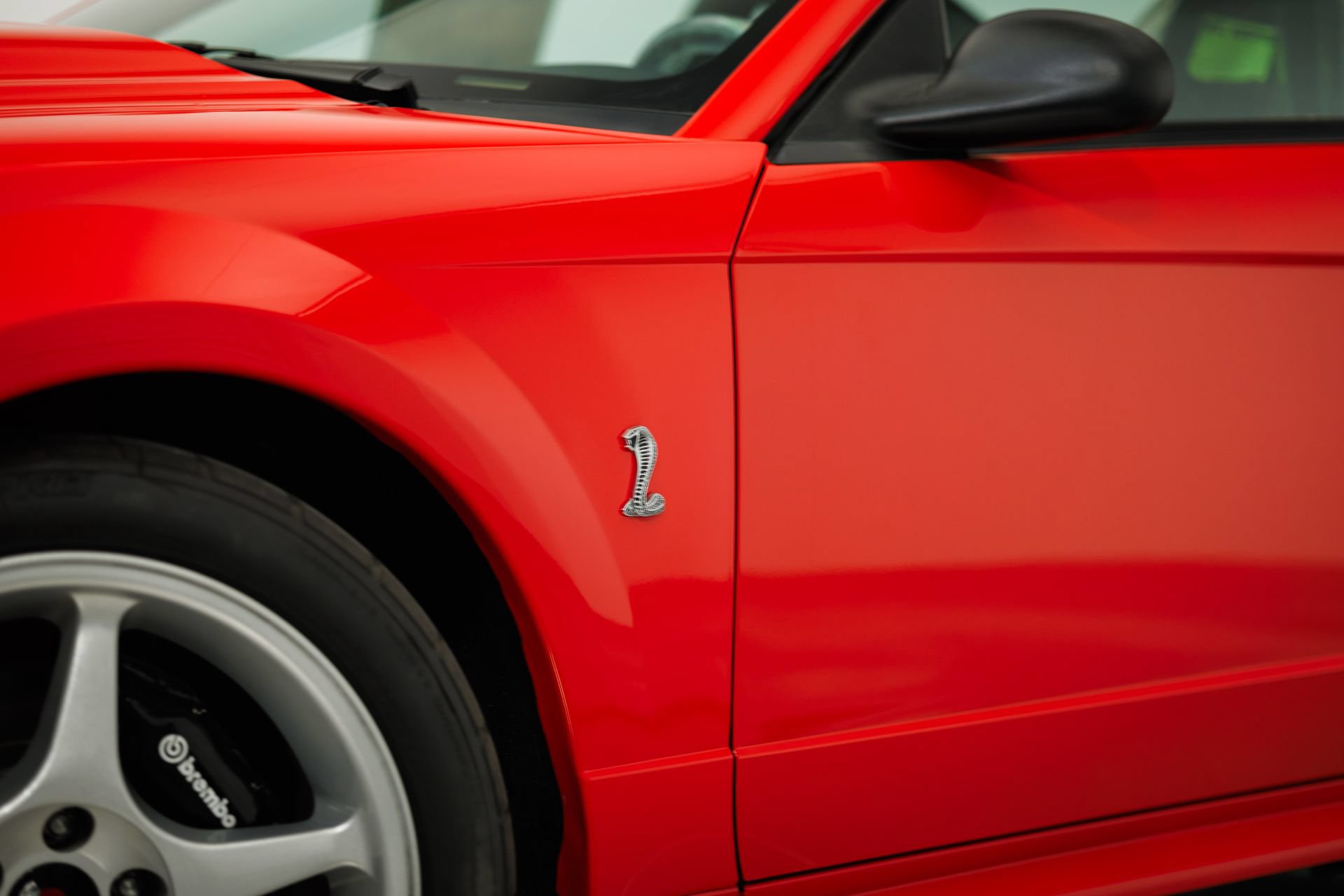 Used 2000 Ford Mustang Cobra RWD image 3