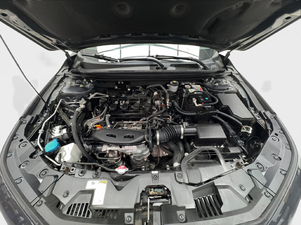 Used 2024 Honda Accord EX image 14