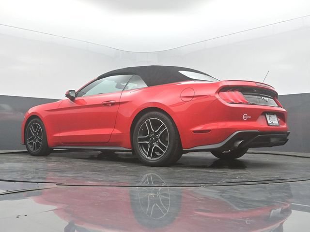 Used 2020 Ford Mustang Premium RWD image 41