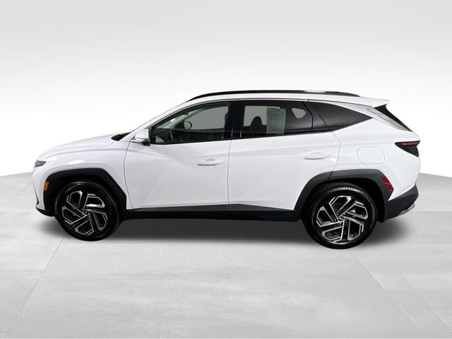 Used 2025 Hyundai Tucson Limited AWD/4WD image 7
