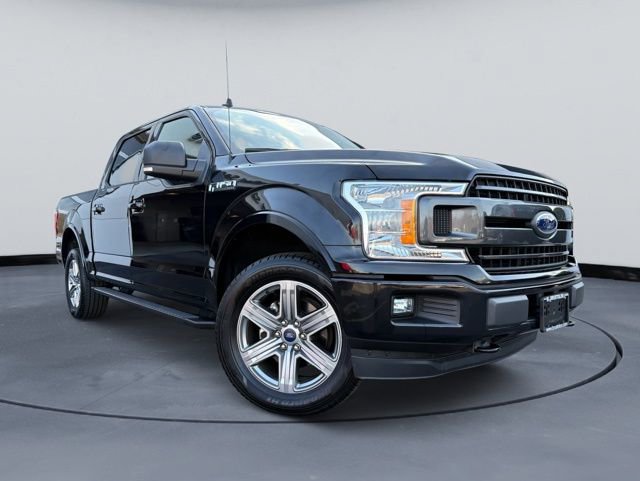 Used 2019 Ford F150 XLT w/ Equipment Group 302A Luxury image 1