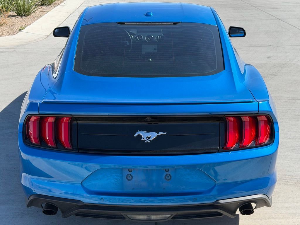 Used 2019 Ford Mustang EcoBoost w/ Equipment Group 101A image 6