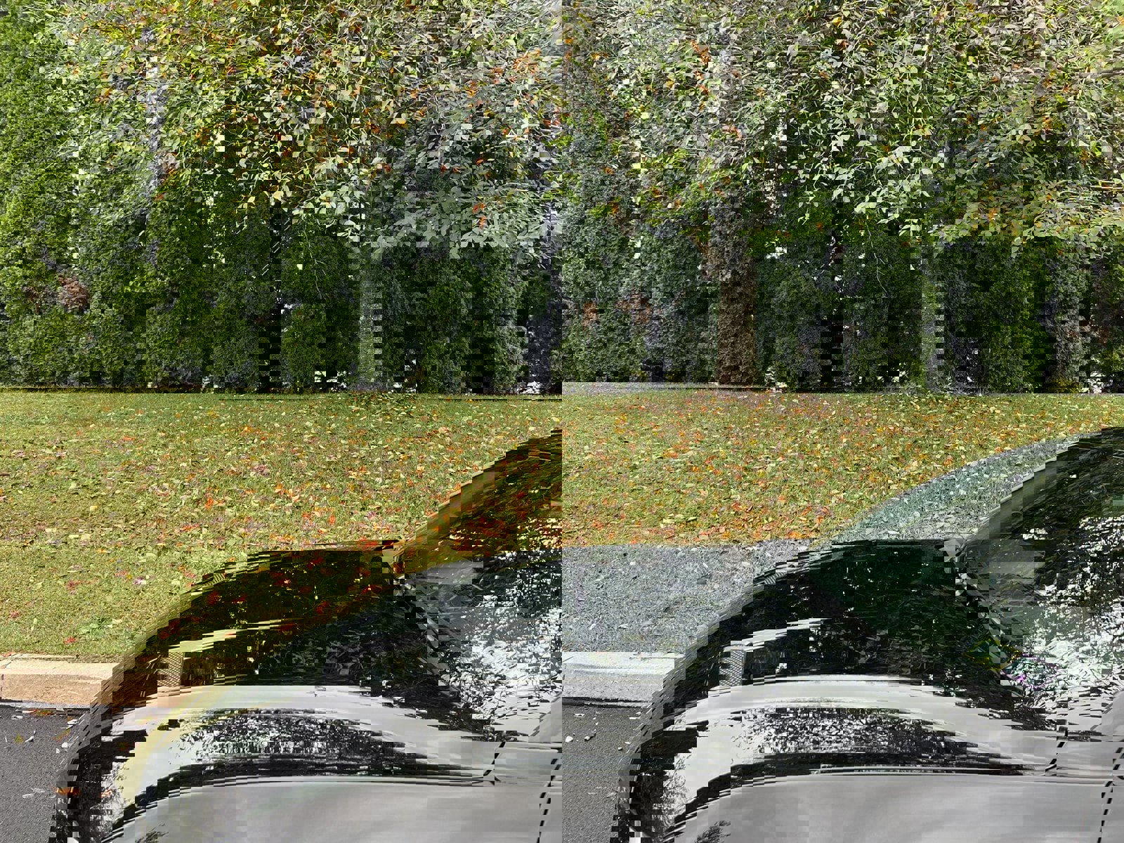 Used 2019 Ford Mustang GT Premium w/ Enhanced Security Package image 81