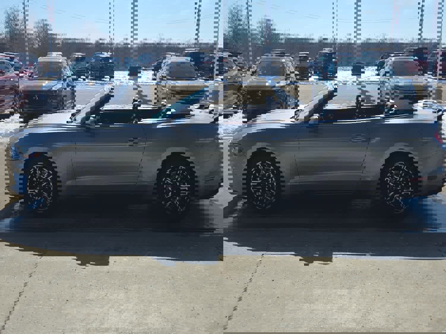 Used 2022 Ford Mustang Premium image 4