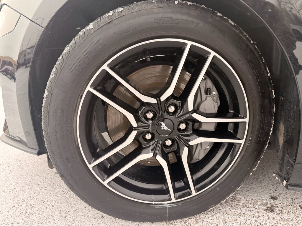 Used 2023 Ford Mustang GT w/ Equipment Group 301A image 17