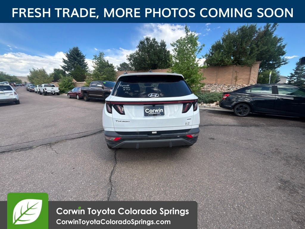 Used 2024 Hyundai Tucson Limited AWD/4WD image 7