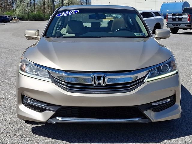 Used 2016 Honda Accord EX-L image 5