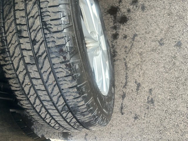 Used 2016 Nissan Rogue SV w/ SV Premium Package image 3