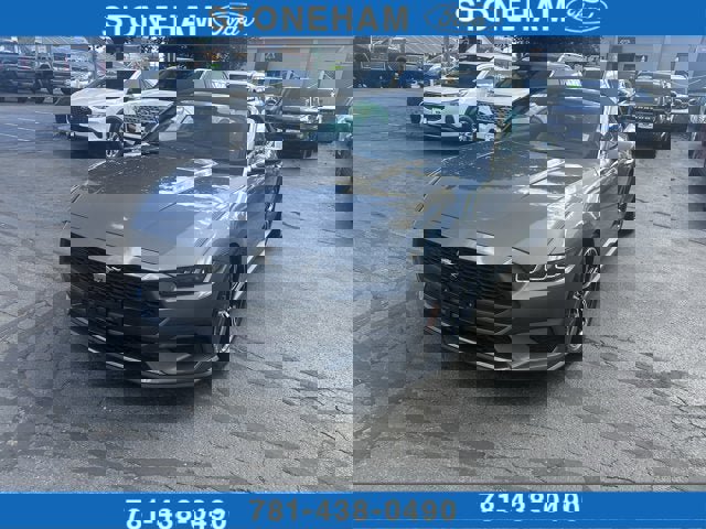 Used 2024 Ford Mustang Premium