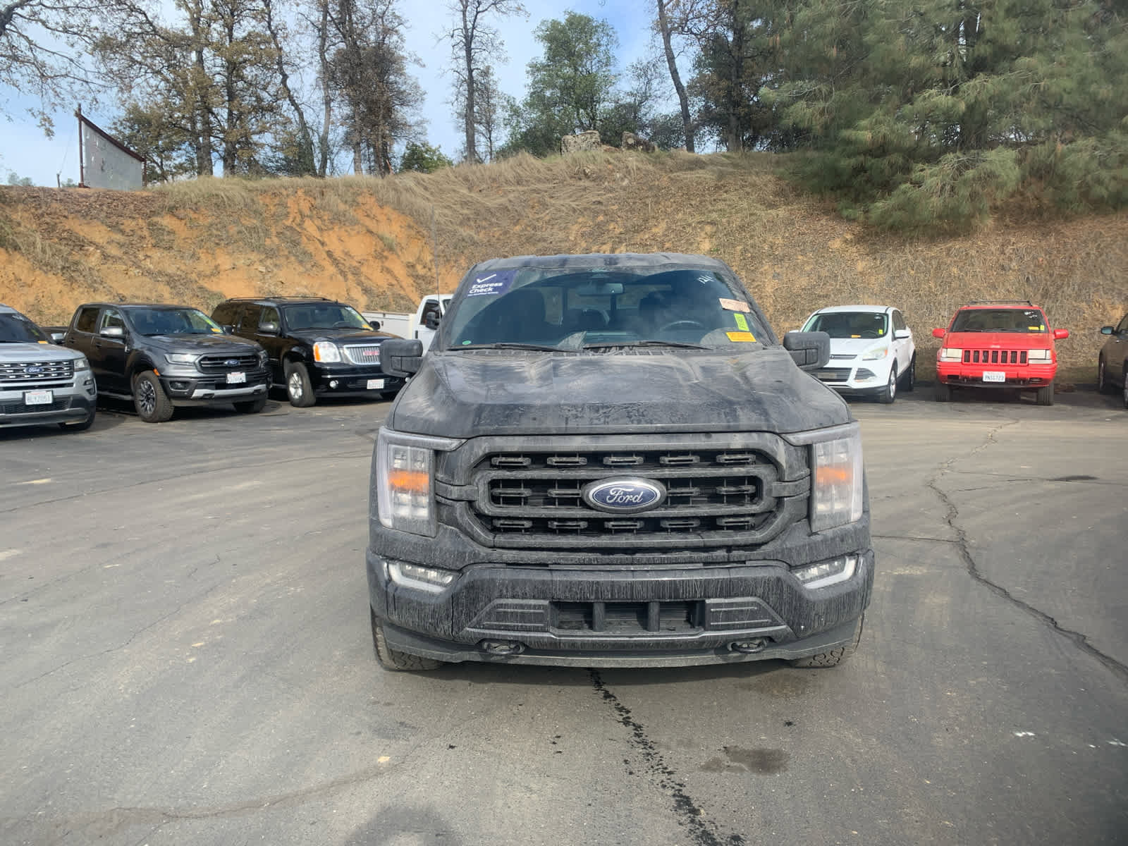 Used 2022 Ford F150 XLT w/ Equipment Group 302A High image 2