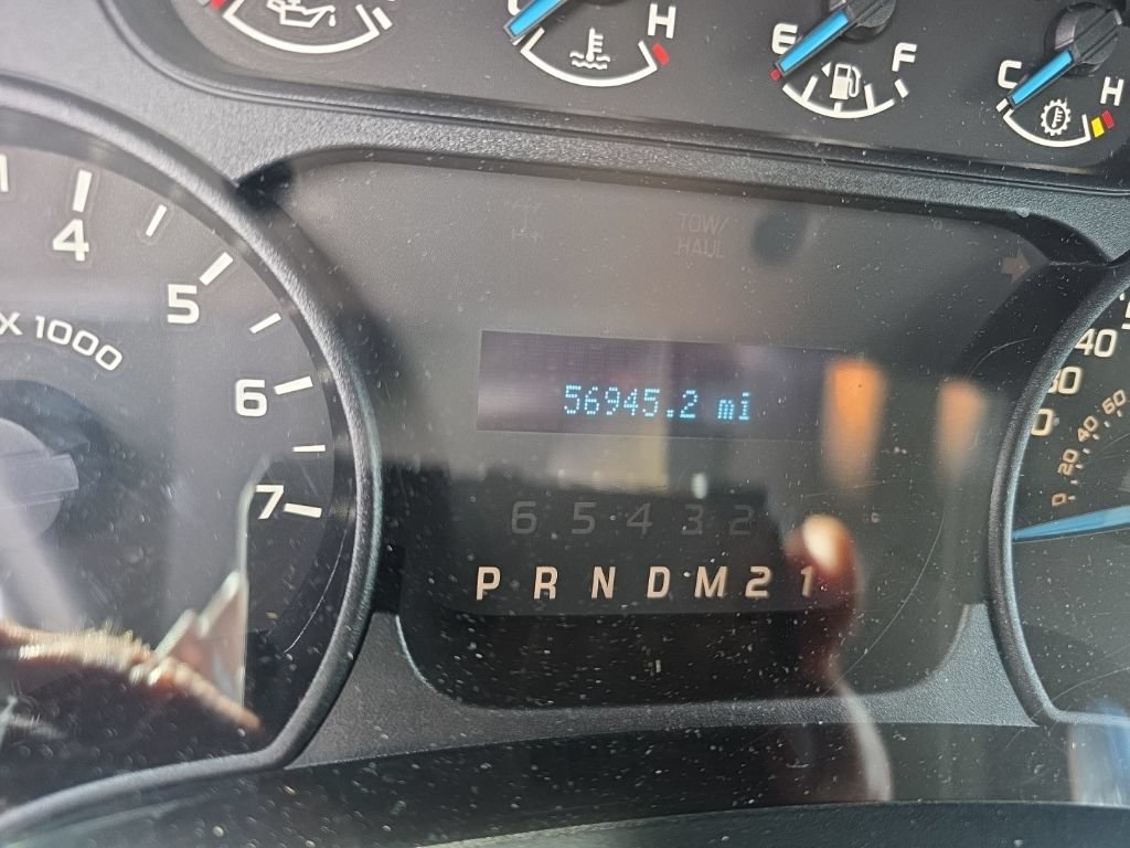 Used 2014 Ford F150 STX w/ Equipment Group 201A Mid RWD image 7