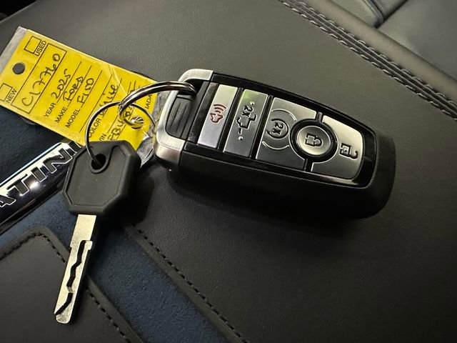 Used 2025 Ford F150 Platinum image 18