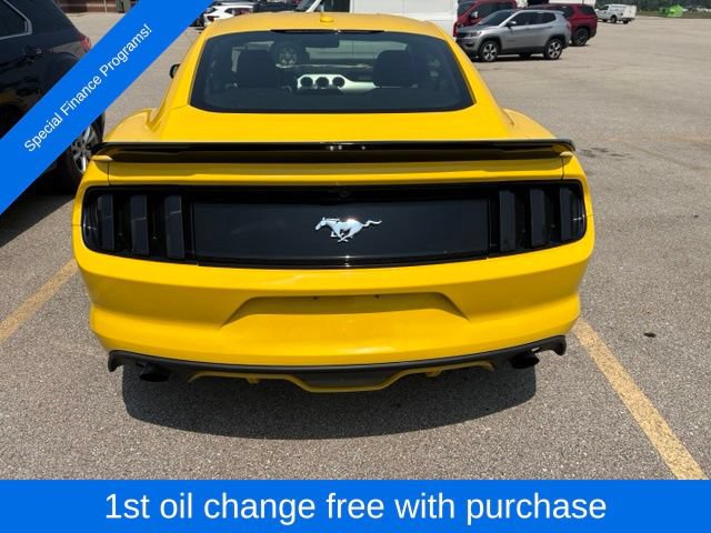 Used 2015 Ford Mustang Premium w/ Equipment Group 201A RWD image 4