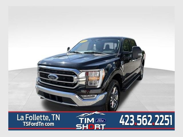 Used 2023 Ford F150 XLT w/ Equipment Group 302A High AWD/4WD image 1