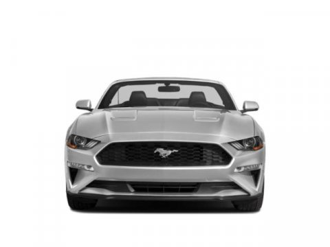 Used 2019 Ford Mustang Convertible w/ Ecoboost Performance Package image 4
