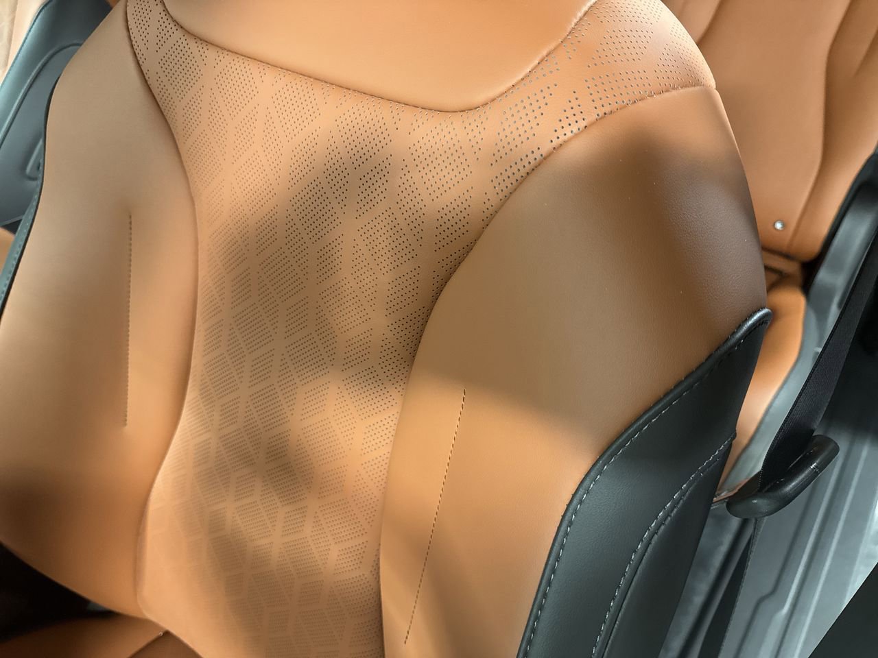 New 2026 Kia Carnival SX w/ SX Dark Edition Package image 16