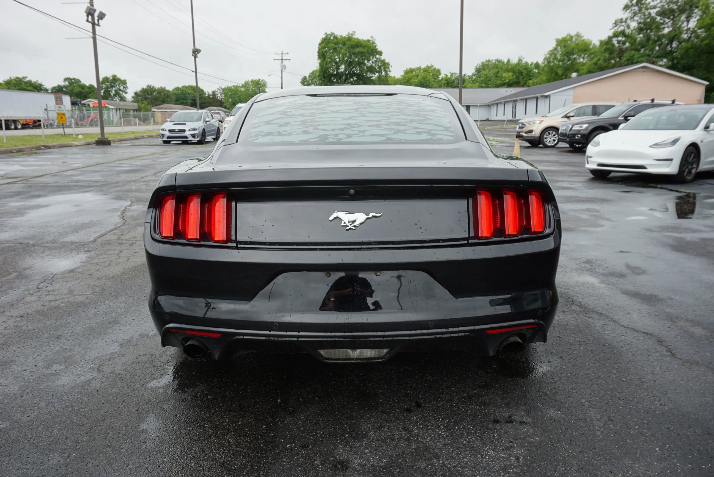 Used 2017 Ford Mustang Coupe w/ Ecoboost Performance Package RWD image 6