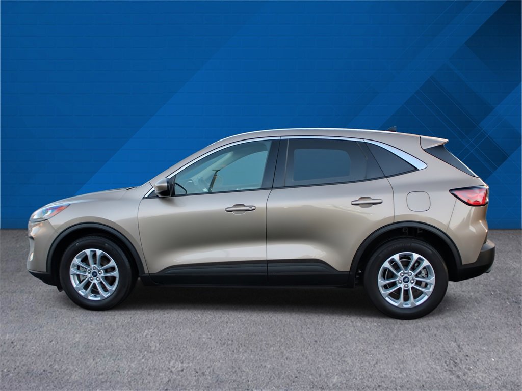 Used 2020 Ford Escape SE image 6