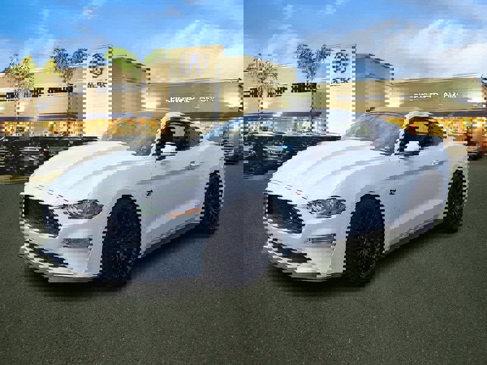 Used 2019 Ford Mustang GT Premium w/ GT Performance Package image 3