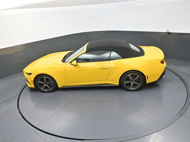 Used 2024 Ford Mustang Premium RWD image 15