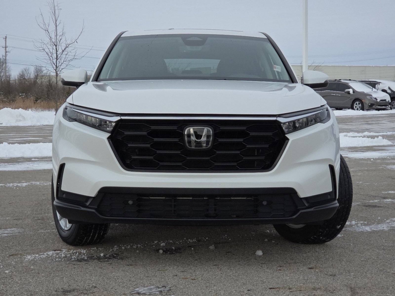 Used 2024 Honda CR-V EX-L image 13