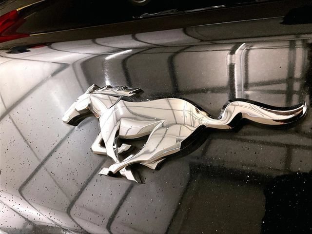 Used 2015 Ford Mustang Premium RWD image 14