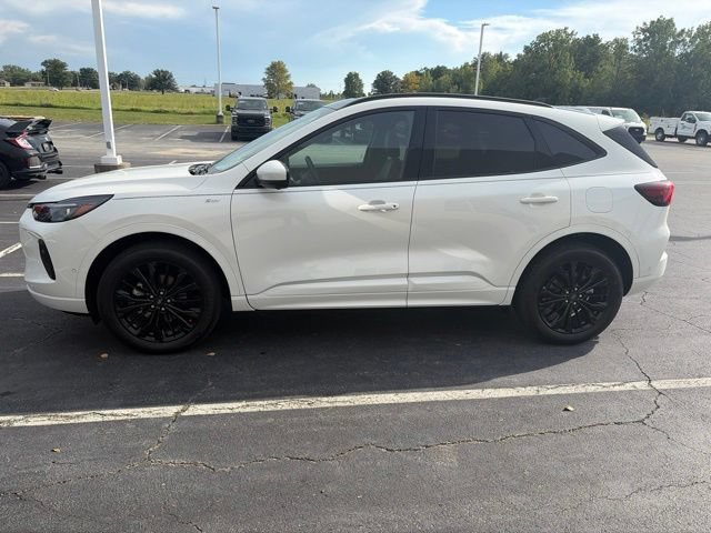 Used 2024 Ford Escape ST-Line Elite w/ Premium Technology Package AWD/4WD image 1