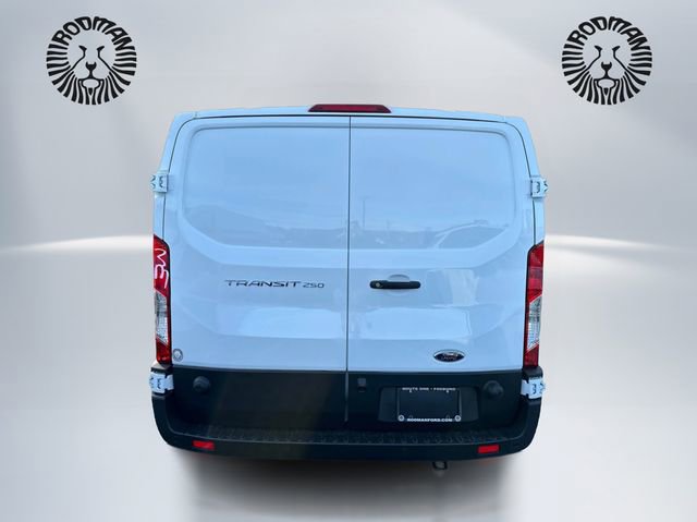 New 2025 Ford Transit 250 Low Roof w/ Load Area Protection Package RWD image 6