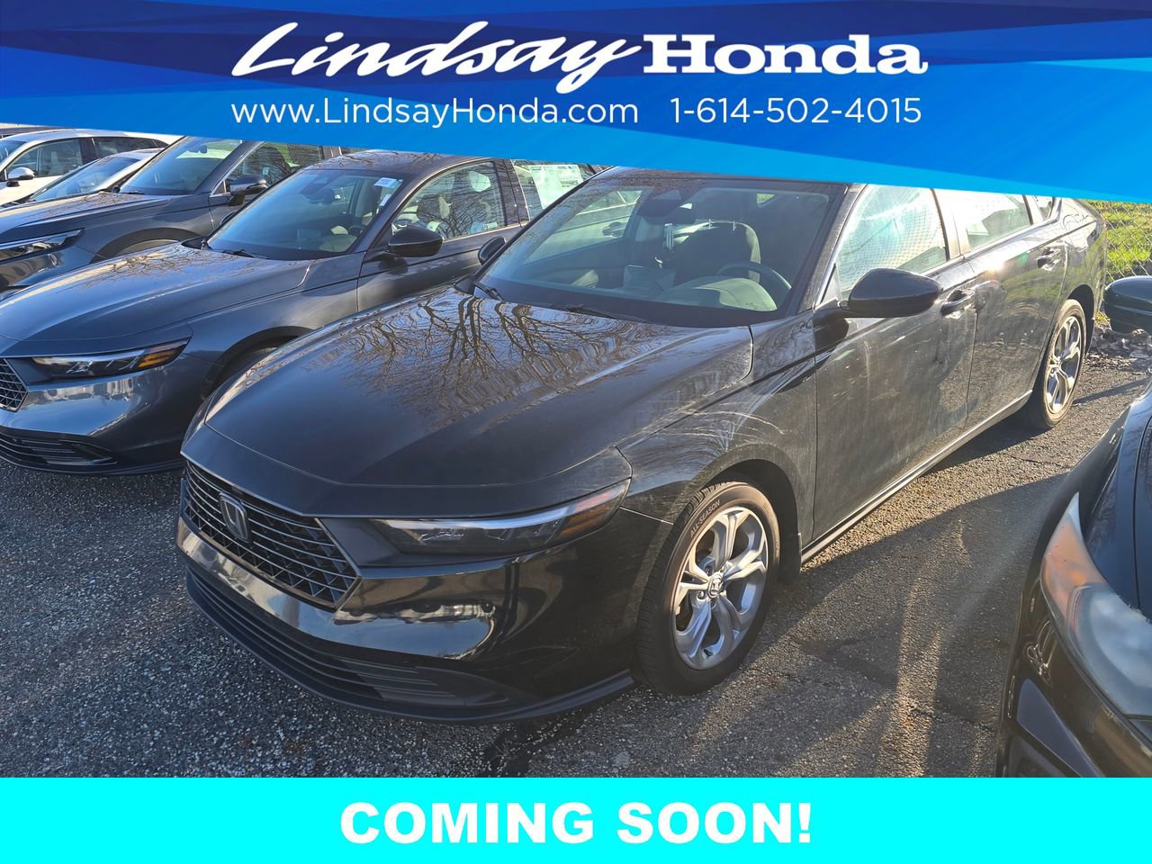 Used 2024 Honda Accord LX image 7