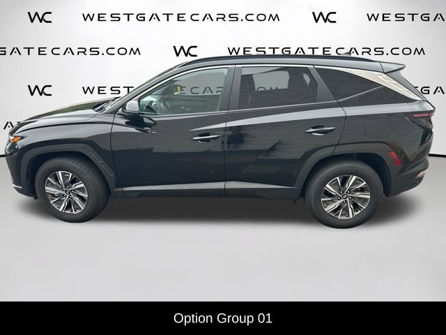 Used 2023 Hyundai Tucson Blue AWD/4WD image 4