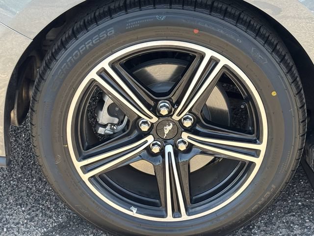 Used 2025 Ford Mustang Premium RWD image 9
