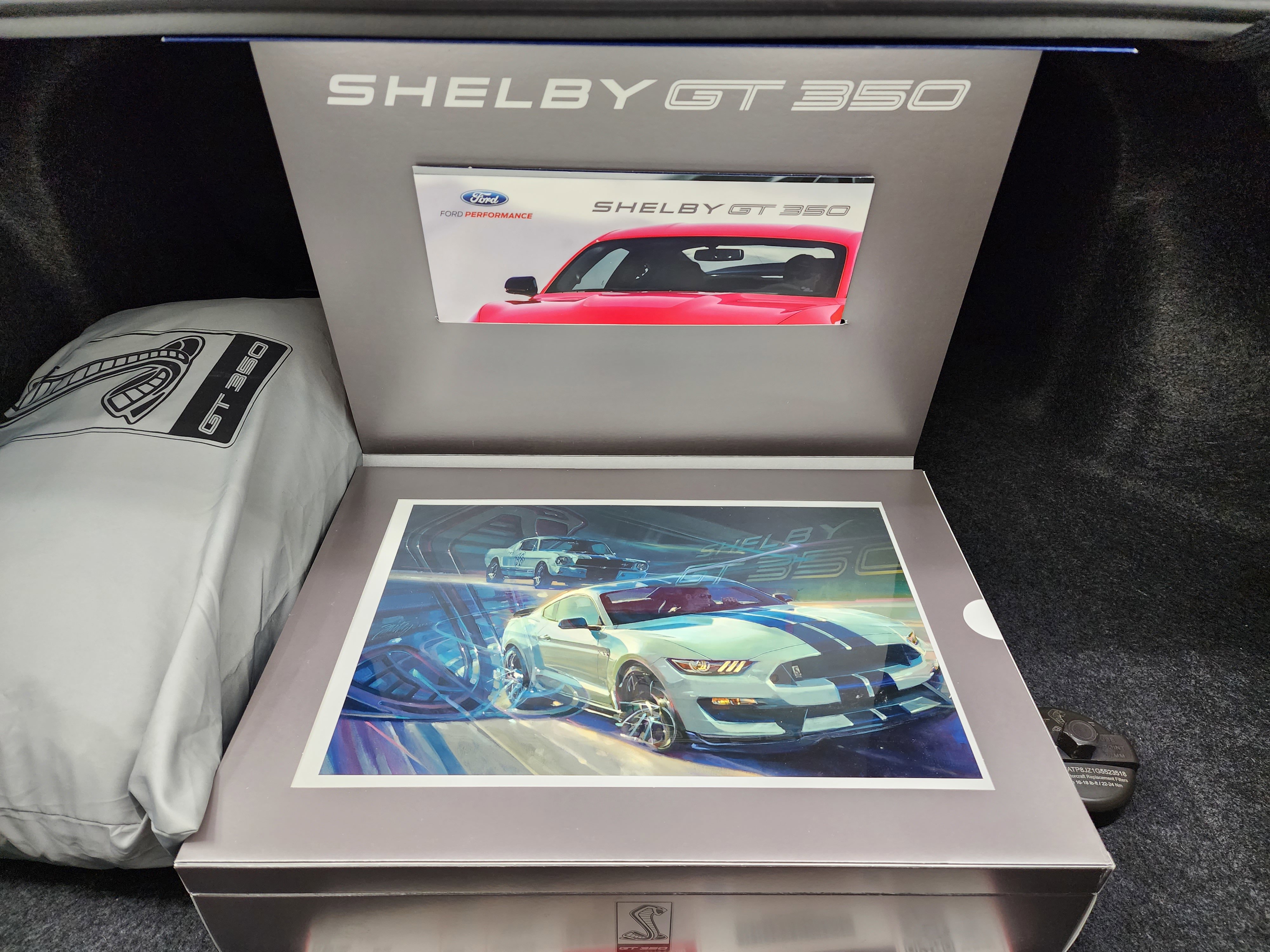 Used 2016 Ford Mustang Shelby GT350R w/ GT350R Equipment Group 920A image 38